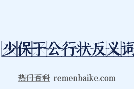 少保于公行状反义词是什么意思的图片